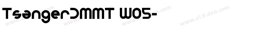 TsangerDMMT W05字体转换